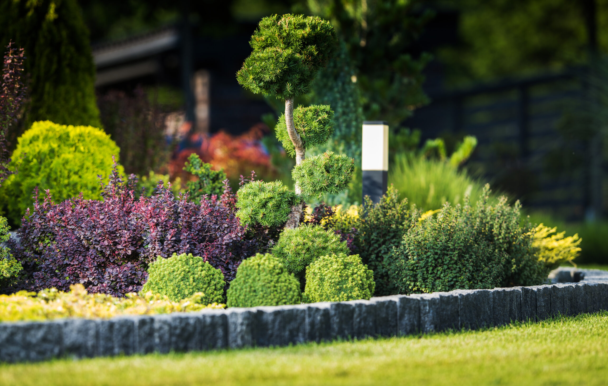 Scenic Residential Rockery Garden with Variety of Decorating Plants