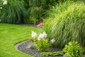 A garden showcases vibrant plants along a curved path, featuring green grasses and blooming flowers under warm afternoon sunlight.